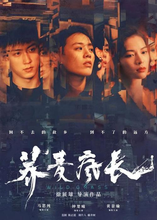 阿卡迪亚大学Mediadiploma